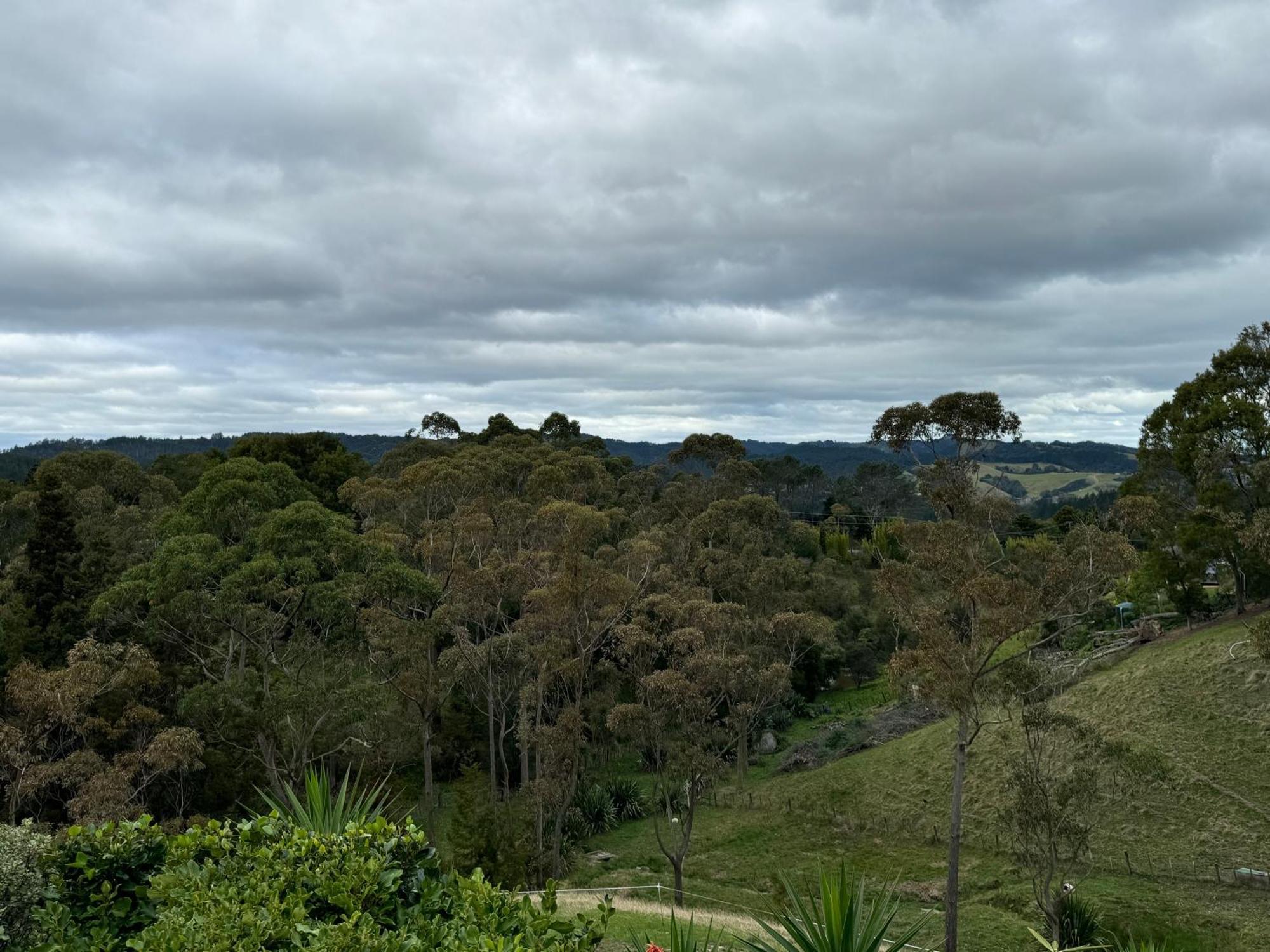 Private Cabin Close To The City Centre Whangarei Εξωτερικό φωτογραφία