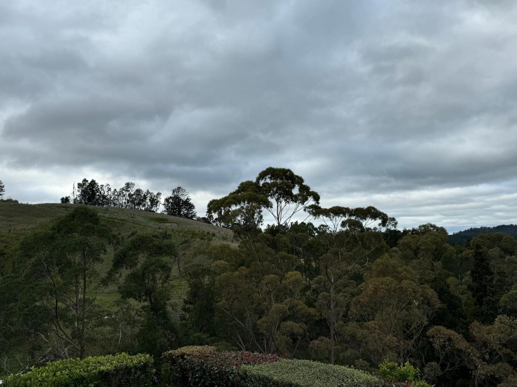 Private Cabin Close To The City Centre Whangarei Εξωτερικό φωτογραφία