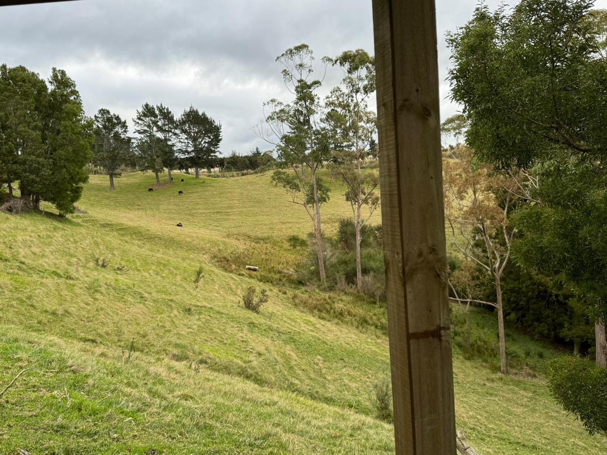 Private Cabin Close To The City Centre Whangarei Εξωτερικό φωτογραφία