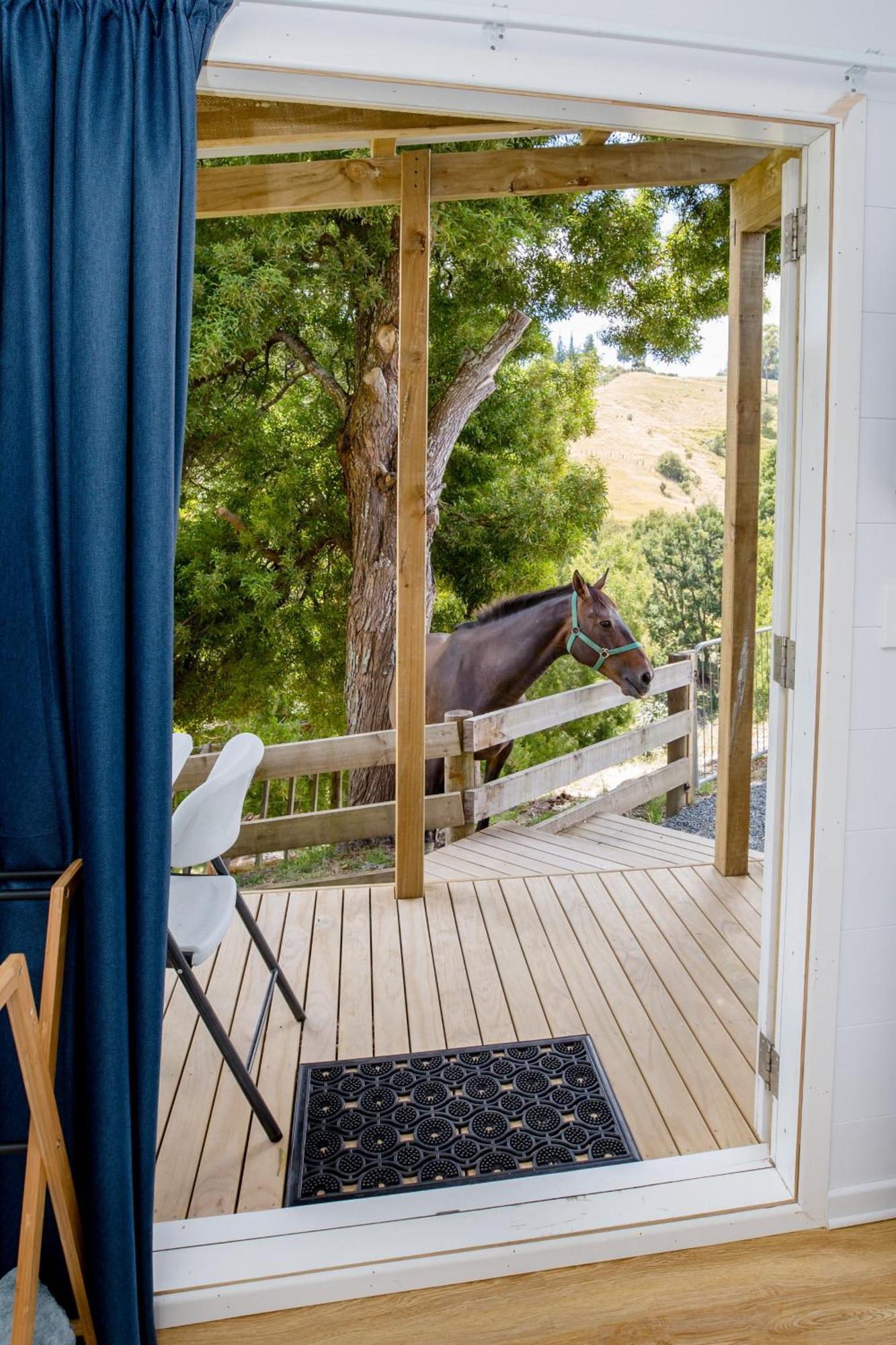Private Cabin Close To The City Centre Whangarei Εξωτερικό φωτογραφία