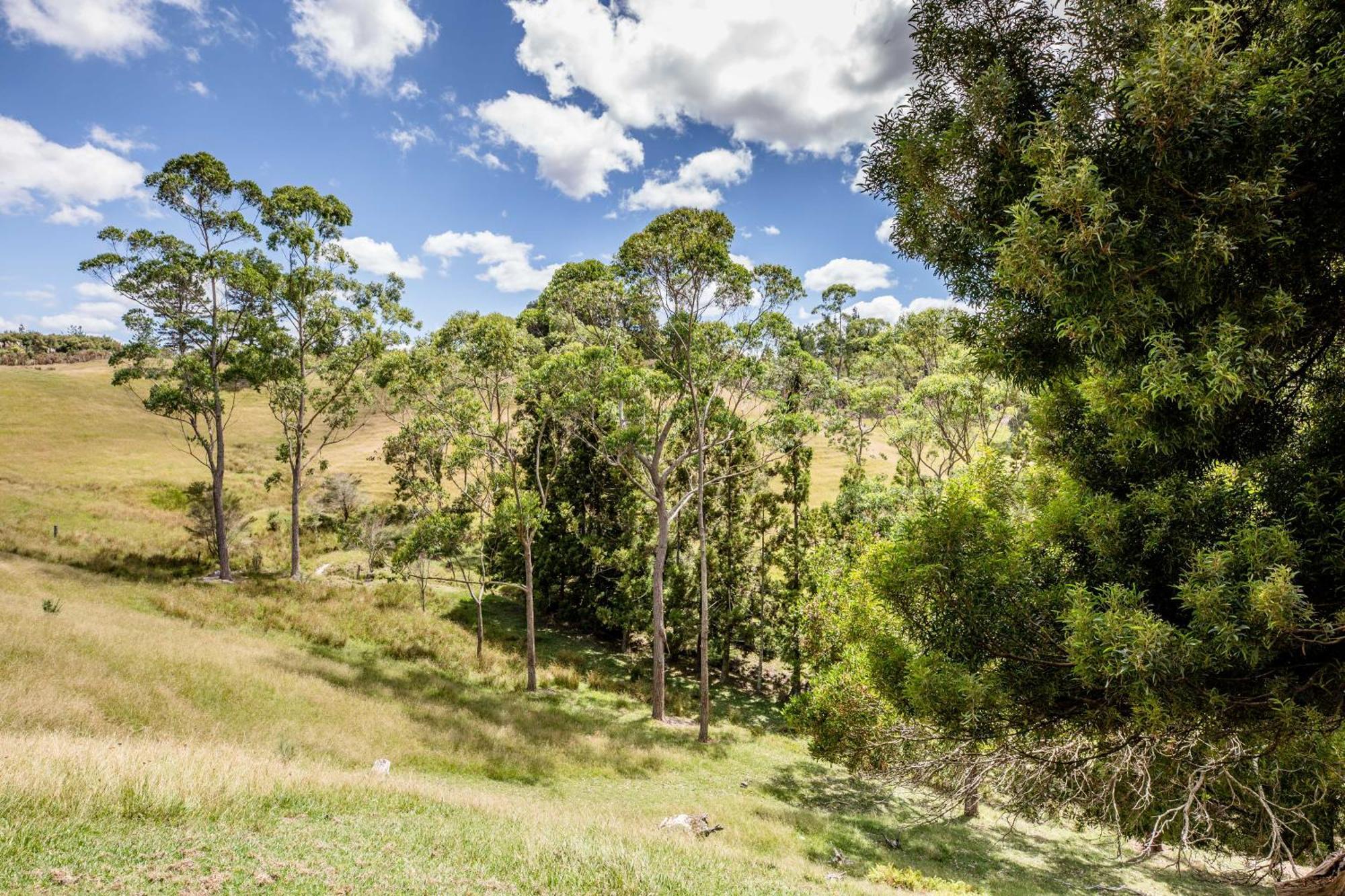 Private Cabin Close To The City Centre Whangarei Εξωτερικό φωτογραφία